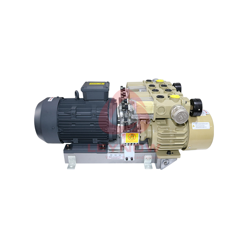 LX 0080 H26 Rotary vane oil-free vacuum pump